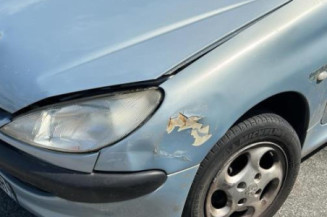 Porte arriere gauche PEUGEOT 206