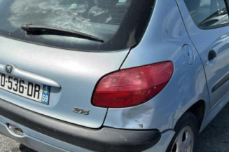 Porte arriere gauche PEUGEOT 206