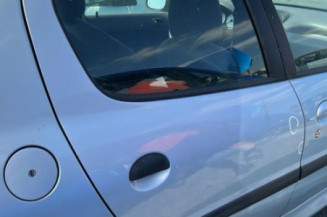 Porte arriere gauche PEUGEOT 206