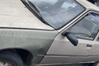 Porte arriere droit PEUGEOT 205