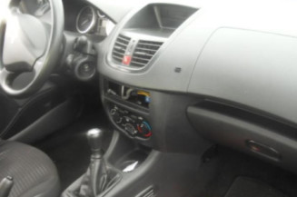 Capot PEUGEOT 206+