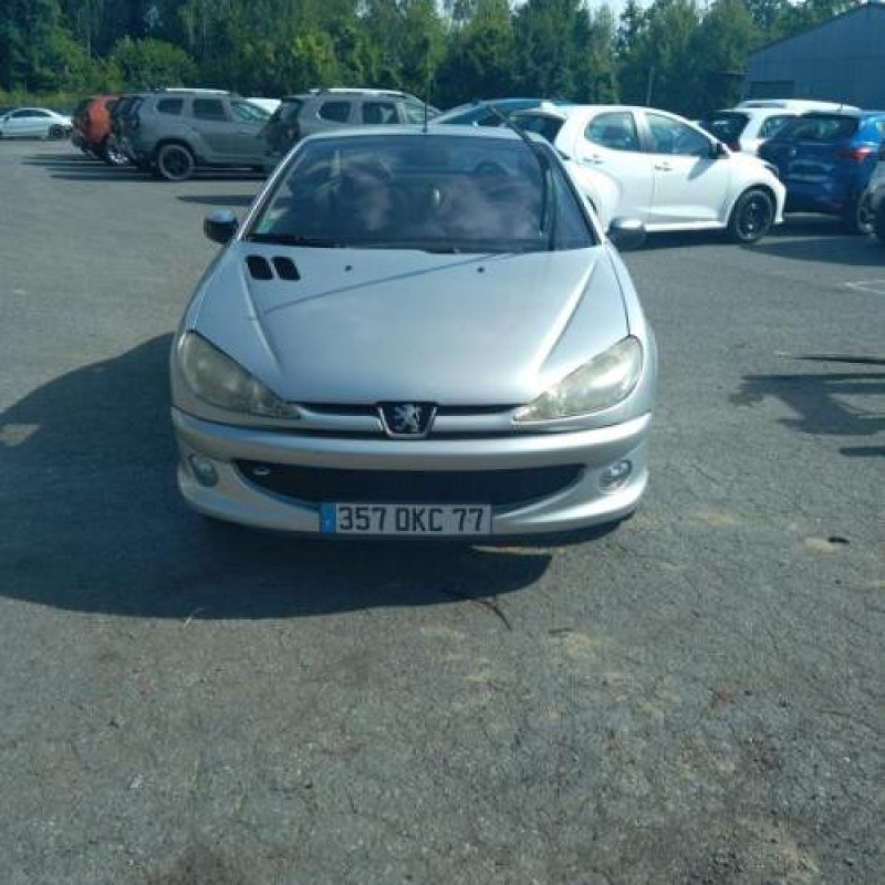 Porte avant droit PEUGEOT 206 Photo n°8