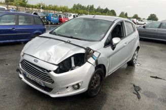 Custode arriere gauche FORD FIESTA 6