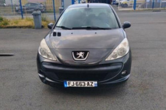 Poignee interieur arriere gauche PEUGEOT 206+