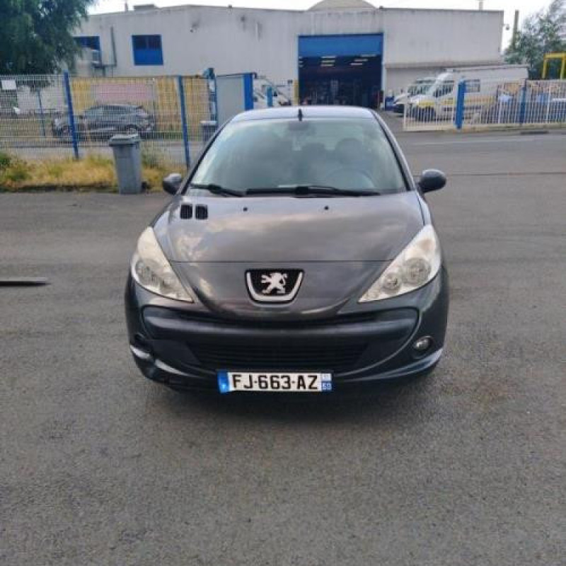 Poignee interieur arriere gauche PEUGEOT 206+ Photo n°5