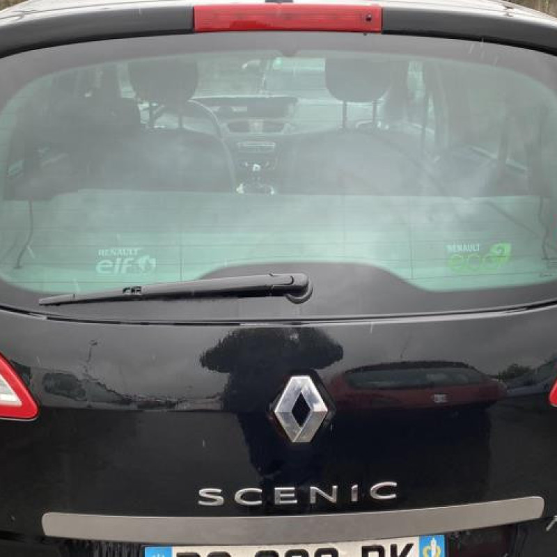 Capot RENAULT SCENIC 3 Photo n°11