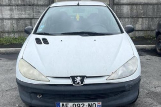 Antenne PEUGEOT 206