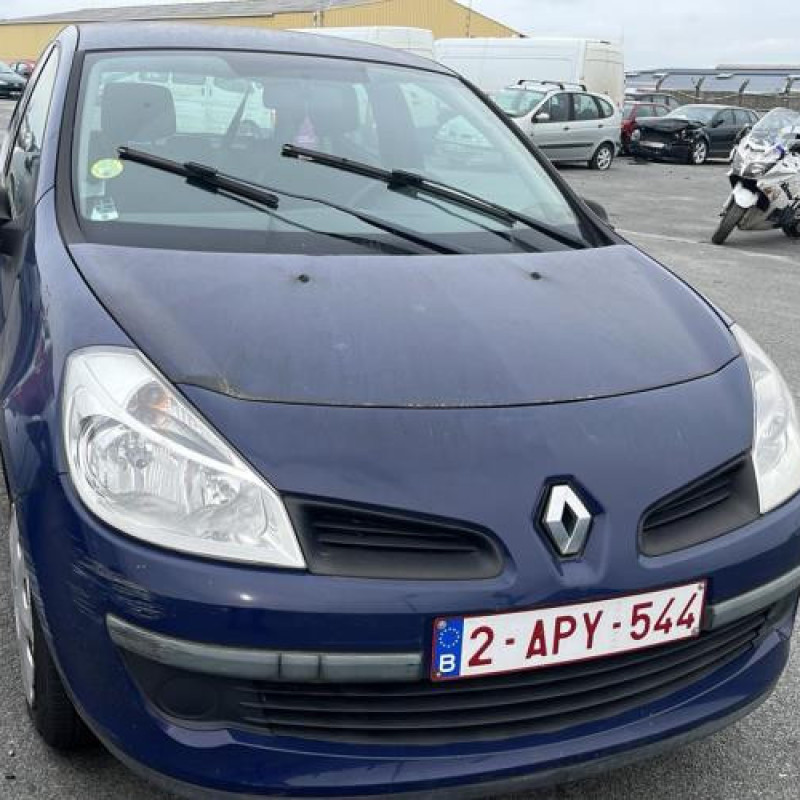 Porte avant gauche RENAULT CLIO 3 Photo n°8