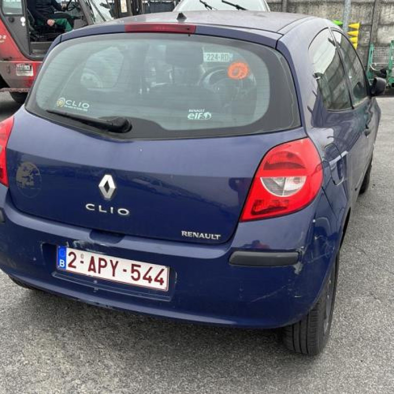 Porte avant gauche RENAULT CLIO 3 Photo n°11