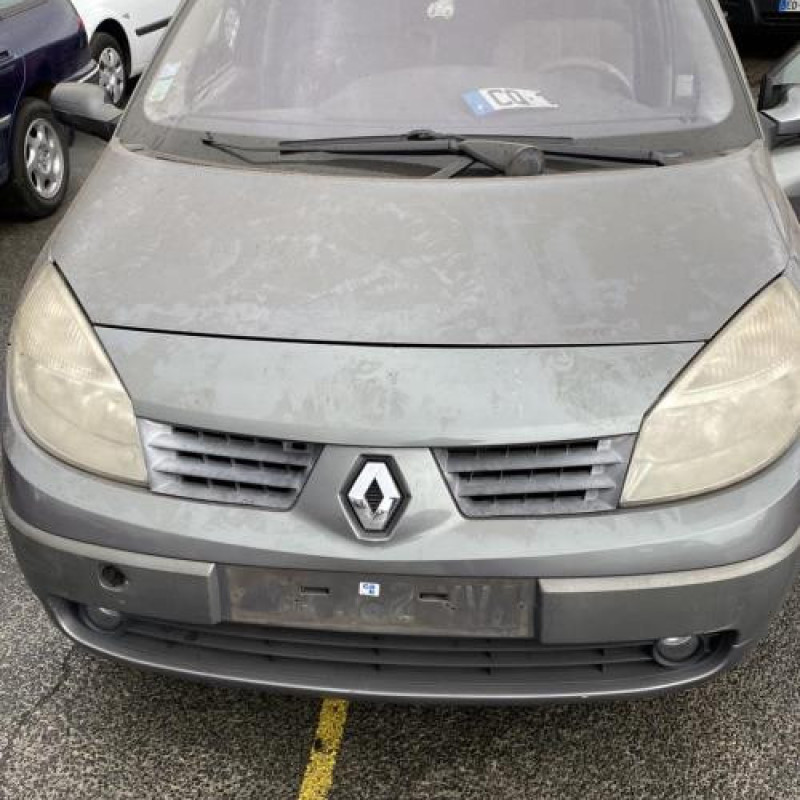 Aile avant gauche RENAULT SCENIC 2 Photo n°6