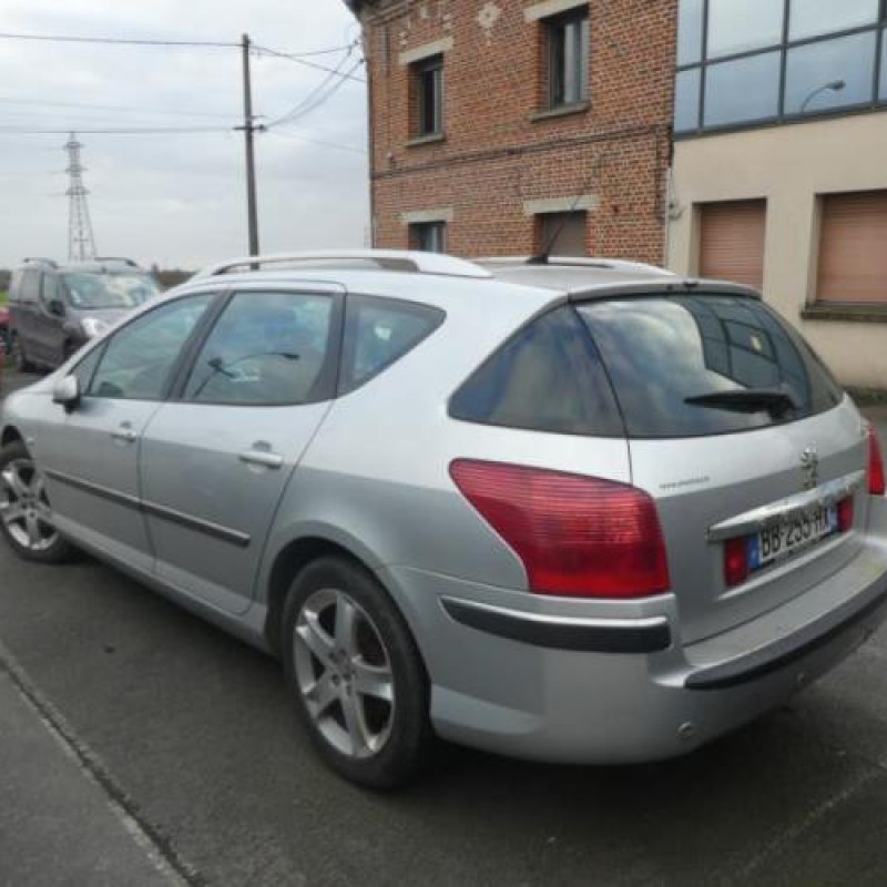 Custode avant gauche (porte) PEUGEOT 407 Photo n°9