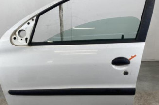 Porte avant gauche PEUGEOT 206