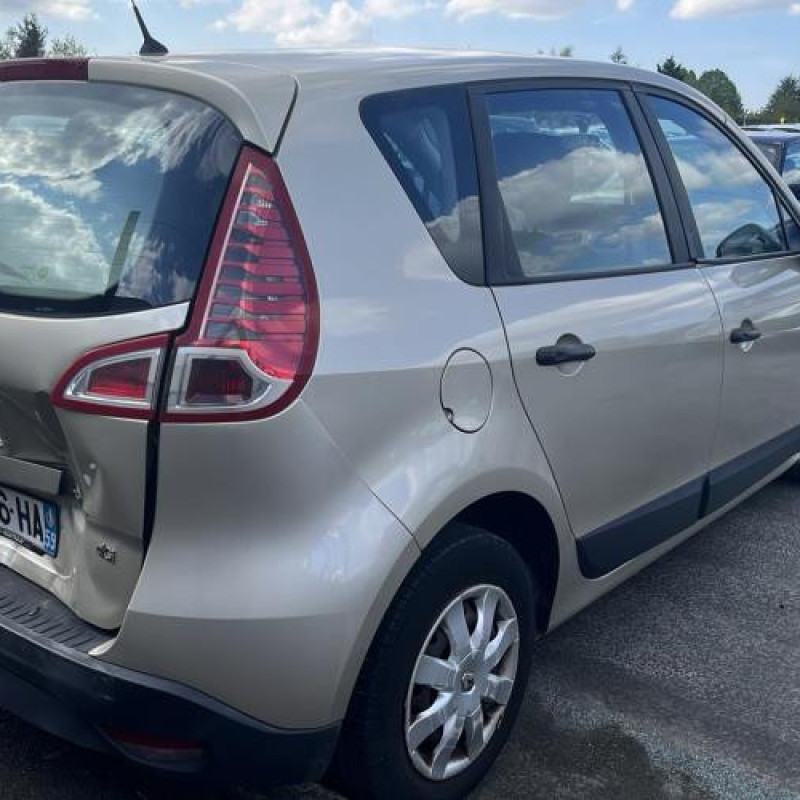 Custode arriere gauche RENAULT SCENIC 3 Photo n°8