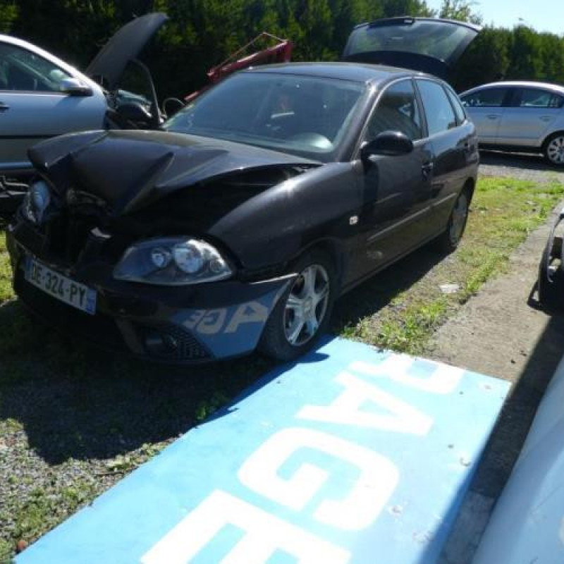 Feu arriere principal gauche (feux) SEAT IBIZA 3 Photo n°3