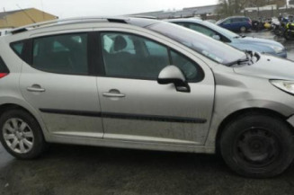 Custode arriere gauche PEUGEOT 207