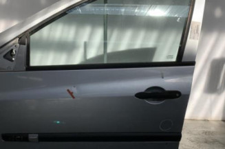 Porte avant gauche RENAULT CLIO 3