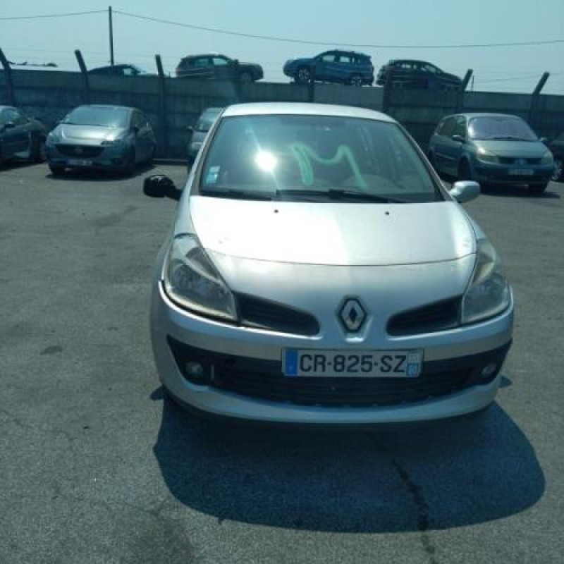 Porte avant gauche RENAULT CLIO 3 Photo n°8