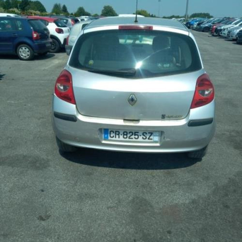 Porte avant gauche RENAULT CLIO 3 Photo n°10