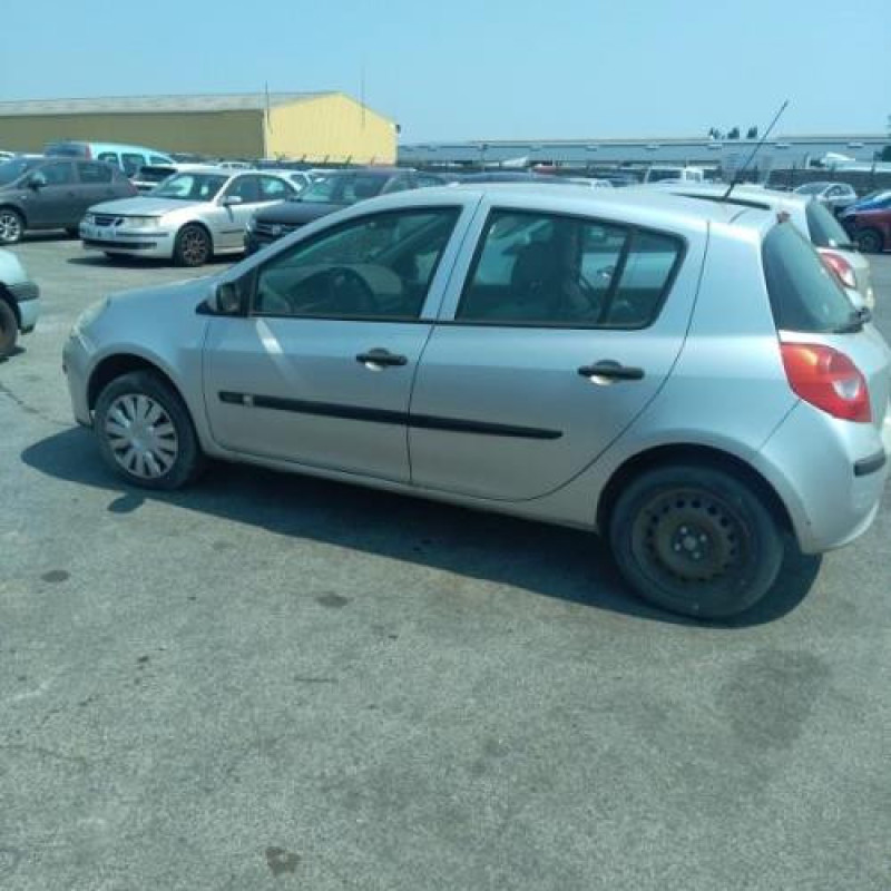 Porte avant gauche RENAULT CLIO 3 Photo n°11