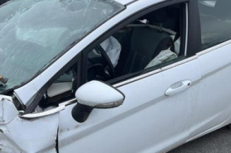 Arret de porte avant gauche FORD FIESTA 6