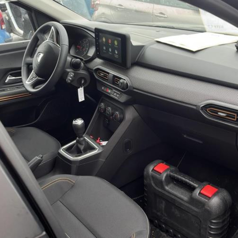 Poignee interieur arriere droit DACIA SANDERO 3 Photo n°12