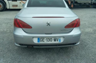 Malle/Hayon arriere PEUGEOT 307