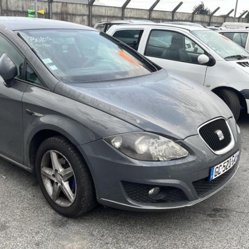 Porte avant droit SEAT LEON 2 Photo n°10