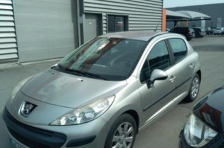 Porte arriere gauche PEUGEOT 207