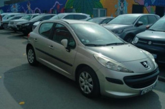 Porte arriere gauche PEUGEOT 207