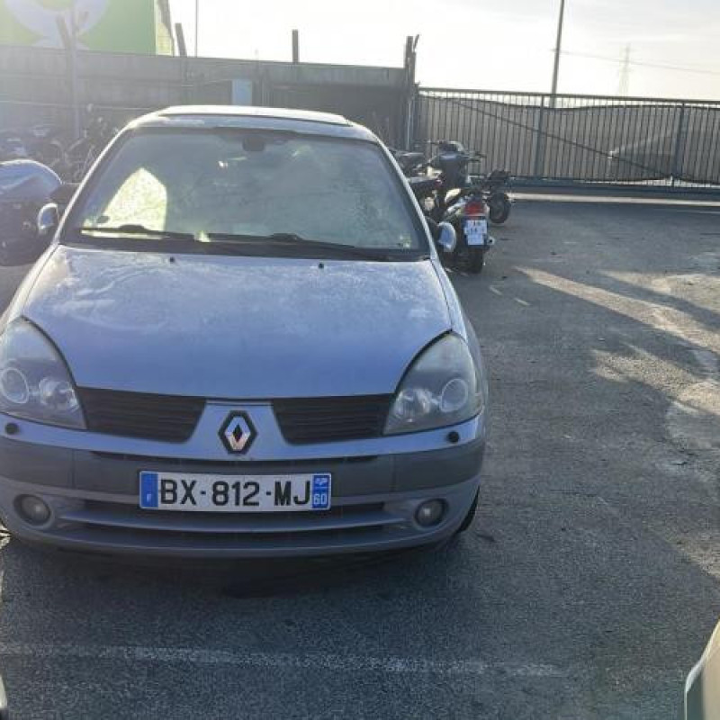 Porte avant droit RENAULT CLIO 2 Photo n°9