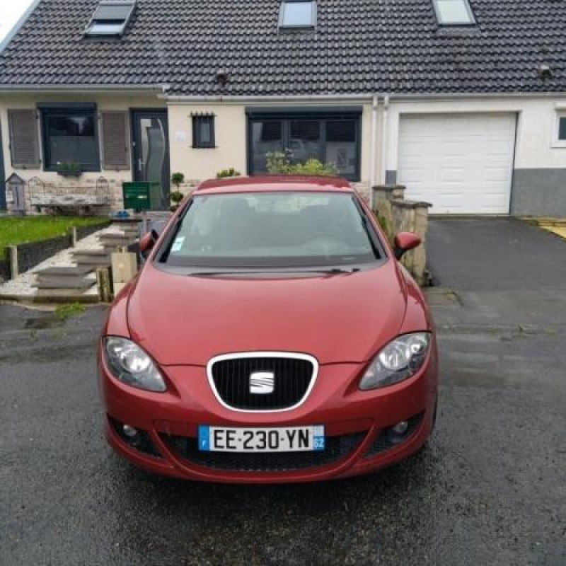 Porte avant gauche SEAT LEON 2 Photo n°7