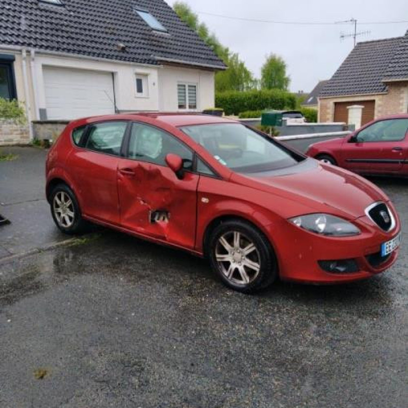 Porte avant gauche SEAT LEON 2 Photo n°8