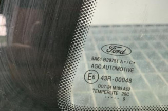 Custode arriere gauche FORD FIESTA 6