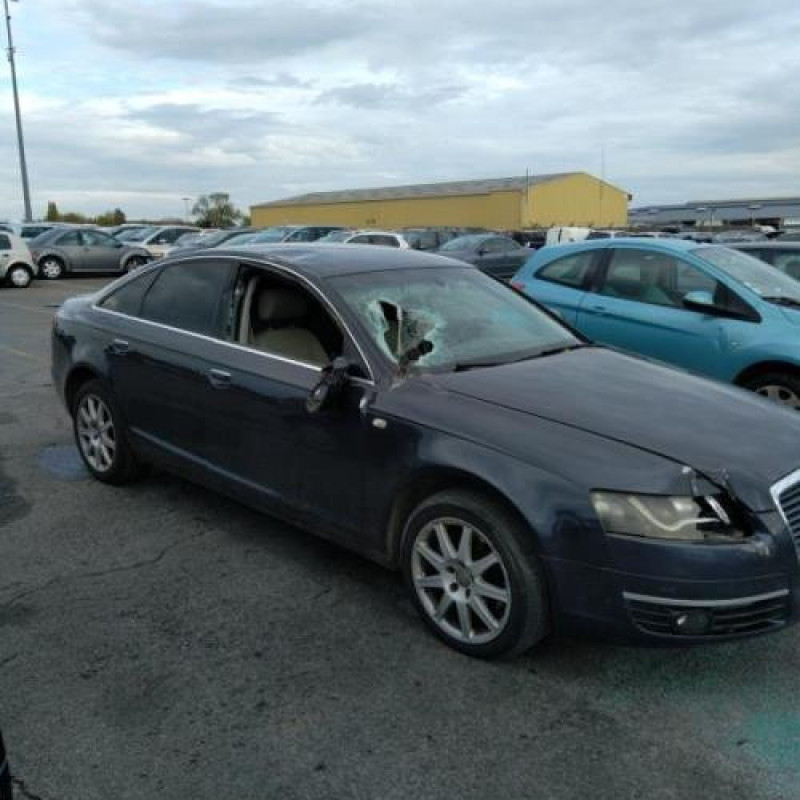 Porte arriere droit AUDI A6 3 Photo n°7