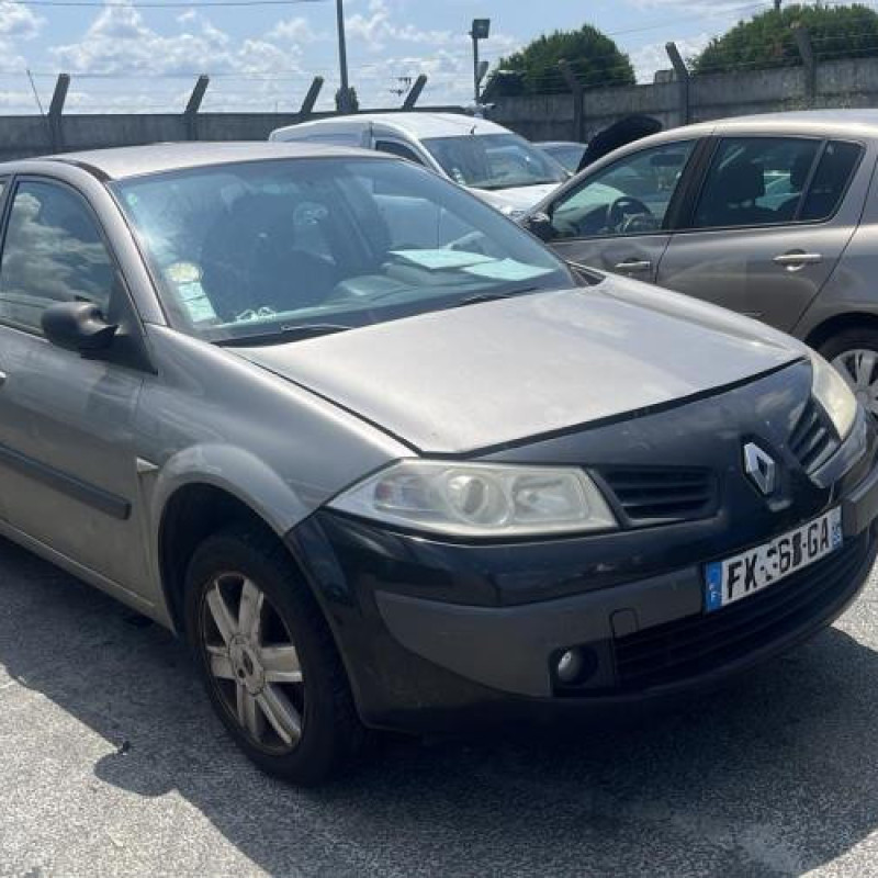 Porte arriere droit RENAULT MEGANE 2 Photo n°8