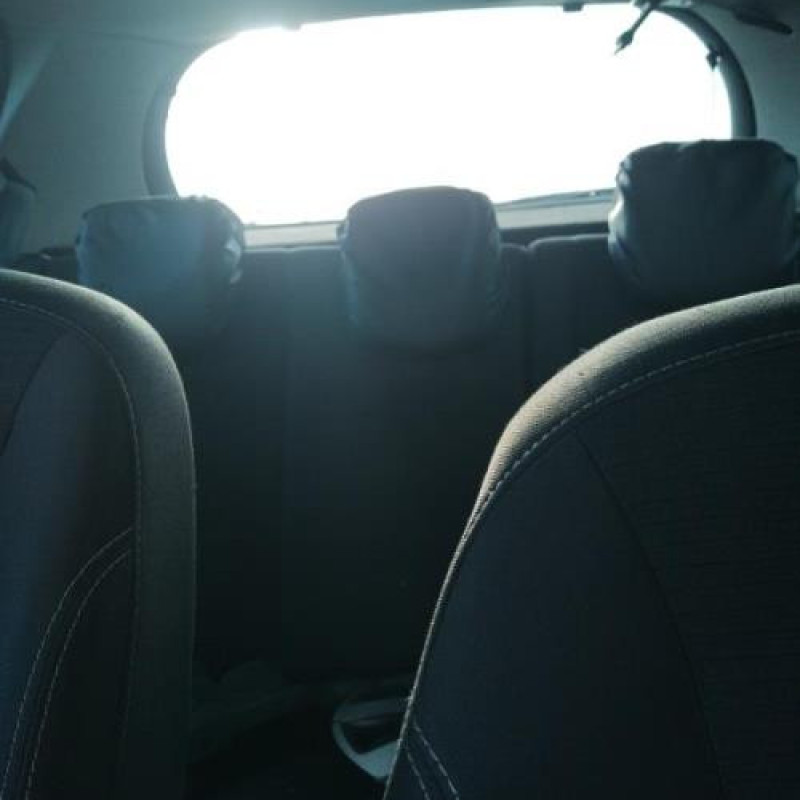 Poignee interieur arriere gauche RENAULT CLIO 3 Photo n°10