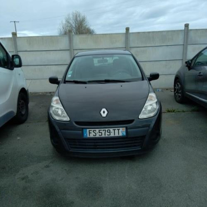 Porte arriere gauche RENAULT CLIO 3 Photo n°6