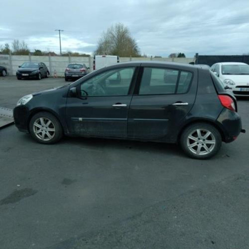 Porte arriere gauche RENAULT CLIO 3 Photo n°7