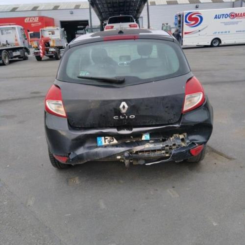 Porte arriere gauche RENAULT CLIO 3 Photo n°8