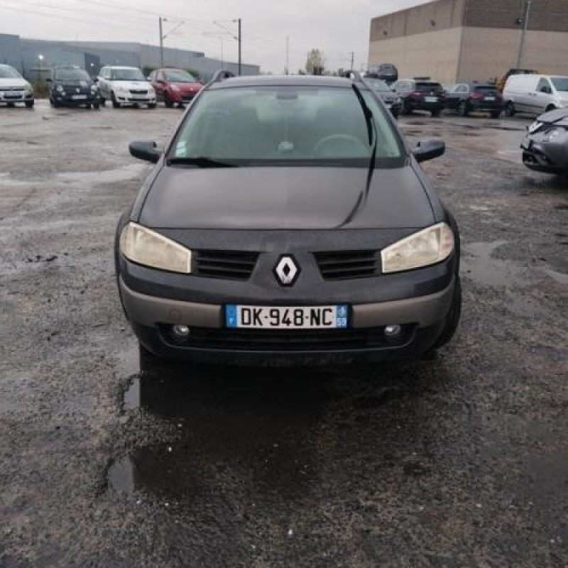 Porte arriere droit RENAULT MEGANE 2 Photo n°6