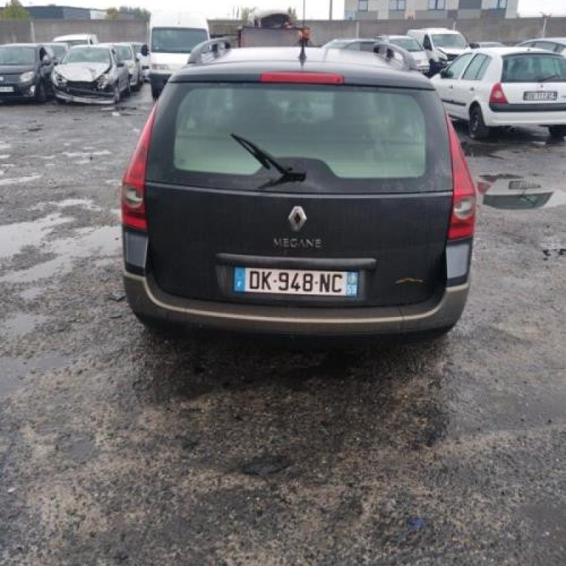 Porte arriere droit RENAULT MEGANE 2 Photo n°8