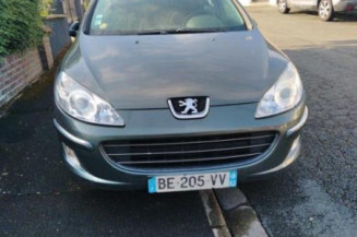 Cremaillere assistee PEUGEOT 407