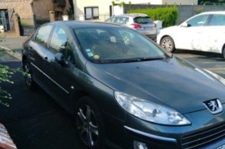 Cremaillere assistee PEUGEOT 407