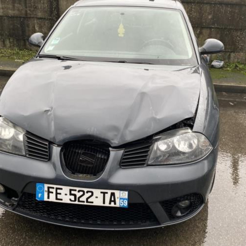 Feu arriere principal gauche (feux) SEAT IBIZA 3 Photo n°5