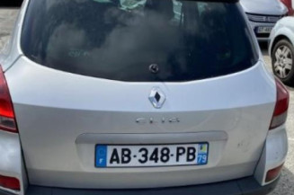 Porte arriere gauche RENAULT CLIO 3