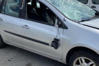 Porte arriere gauche RENAULT CLIO 3