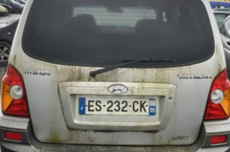 Porte avant gauche HYUNDAI TERRACAN