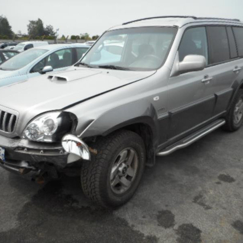 Porte arriere droit HYUNDAI TERRACAN Photo n°8